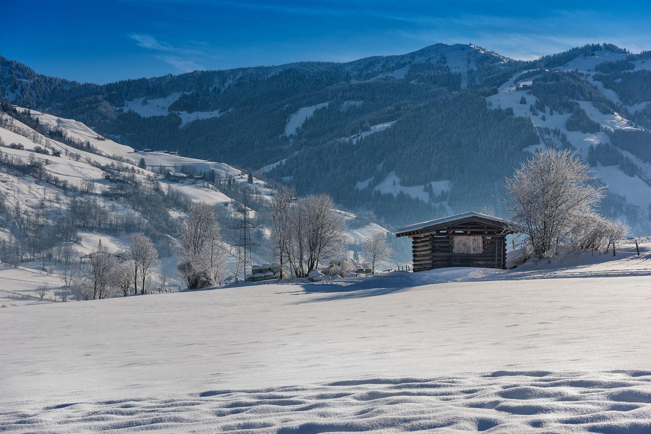 Bauernhofhotel "Die Unterbergerin" - Zimmer Mit Fruehstueck Und Ferienwohnungen In Gastein Mit Gratis Thermeneintritt Дорфгащайн Екстериор снимка