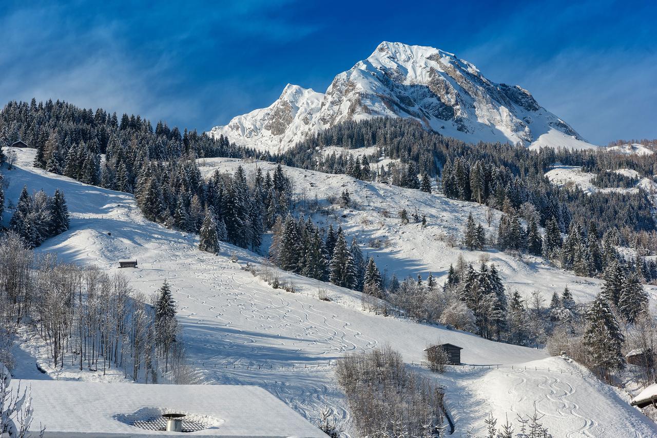 Bauernhofhotel "Die Unterbergerin" - Zimmer Mit Fruehstueck Und Ferienwohnungen In Gastein Mit Gratis Thermeneintritt Дорфгащайн Екстериор снимка