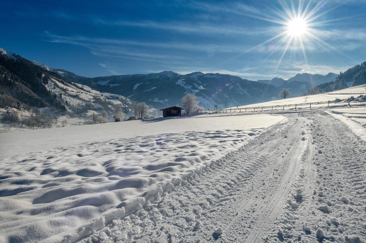 Bauernhofhotel "Die Unterbergerin" - Zimmer Mit Fruehstueck Und Ferienwohnungen In Gastein Mit Gratis Thermeneintritt Дорфгащайн Екстериор снимка